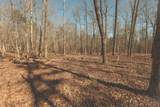 12733 Jones Gap Road - Photo 48