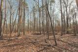 12733 Jones Gap Road - Photo 49