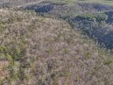 12733 Jones Gap Road - Photo 56