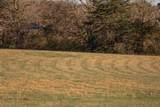 12733 Jones Gap Road - Photo 62