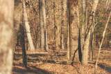 12733 Jones Gap Road - Photo 64