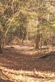 12733 Jones Gap Road - Photo 68