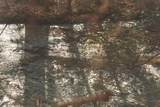 12733 Jones Gap Road - Photo 69