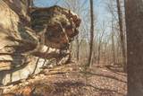12733 Jones Gap Road - Photo 7