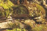 12733 Jones Gap Road - Photo 71