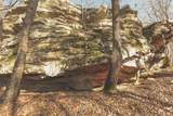 12733 Jones Gap Road - Photo 74