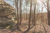 12733 Jones Gap Road - Photo 75