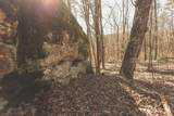 12733 Jones Gap Road - Photo 76