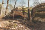 12733 Jones Gap Road - Photo 77