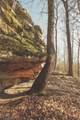 12733 Jones Gap Road - Photo 8