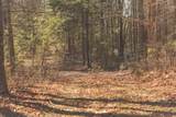 12733 Jones Gap Road - Photo 81