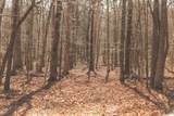 12733 Jones Gap Road - Photo 82