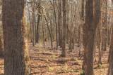 12733 Jones Gap Road - Photo 85