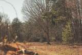 12733 Jones Gap Road - Photo 86