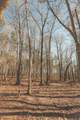 12733 Jones Gap Road - Photo 88