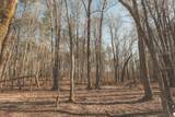 12733 Jones Gap Road - Photo 89