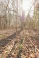 12733 Jones Gap Road - Photo 90