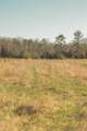 12733 Jones Gap Road - Photo 92