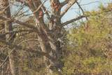 12733 Jones Gap Road - Photo 93