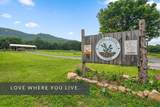 298-112 Pinnacle Point Lane - Photo 36