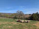 4637 Ideal Valley Road - Photo 5