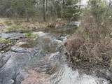 17.74 Ac Co Rd 784 - Photo 13