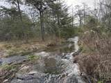17.74 Ac Co Rd 784 - Photo 14
