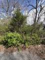 113 Alabama Avenue - Photo 2