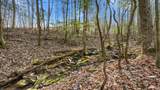 1908 Clear Brooks Drive - Photo 50