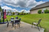 10211 Stellata Lane - Photo 26