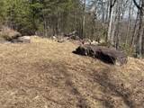 935 Bluff Ledge Trail - Photo 13
