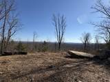 935 Bluff Ledge Trail - Photo 3
