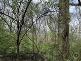 6583 Fairview Road - Photo 1