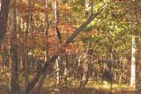 1047 Nelson Harrison Road - Photo 104