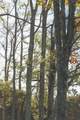 1047 Nelson Harrison Road - Photo 114