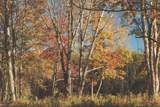 1047 Nelson Harrison Road - Photo 16