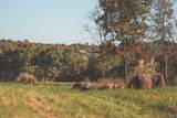 1047 Nelson Harrison Road - Photo 25