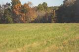 1047 Nelson Harrison Road - Photo 27