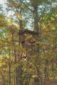 1047 Nelson Harrison Road - Photo 32
