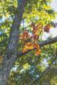 1047 Nelson Harrison Road - Photo 35
