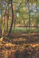 1047 Nelson Harrison Road - Photo 38