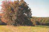 1047 Nelson Harrison Road - Photo 97