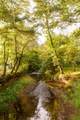 4340 Holland Chattoogaville Road - Photo 45