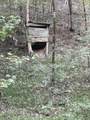 450 County Road 28 - Photo 117