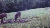 450 County Road 28 - Photo 16