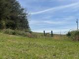 1711 Bradley Wyatt Road - Photo 7