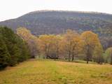 8040 Hog Jowl Road - Photo 27
