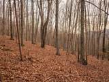 8040 Hog Jowl Road - Photo 29