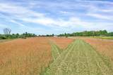 330 Blueberry Acres - Photo 12