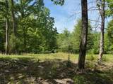 0 Pitts Gap Mtn Road - Photo 20